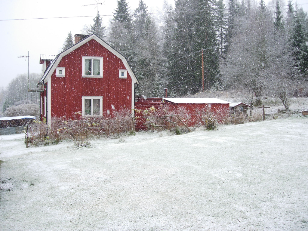 DSCN7254.jpg