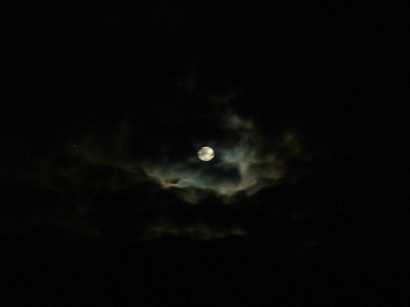 dscf0011.jpg