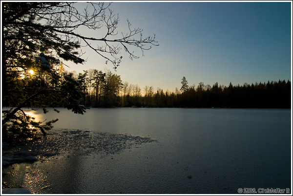 DSC_7677.jpg