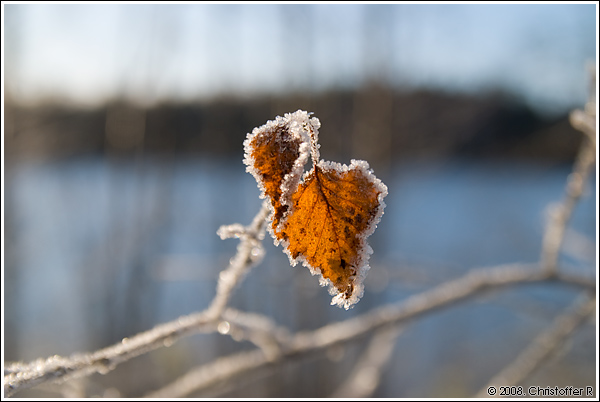 DSC_7692.jpg