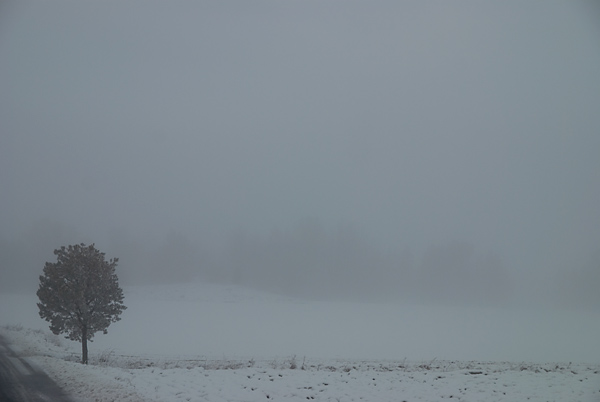 DSC_7728.jpg