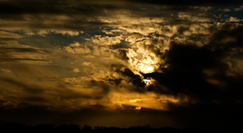 DSC_7159.jpg