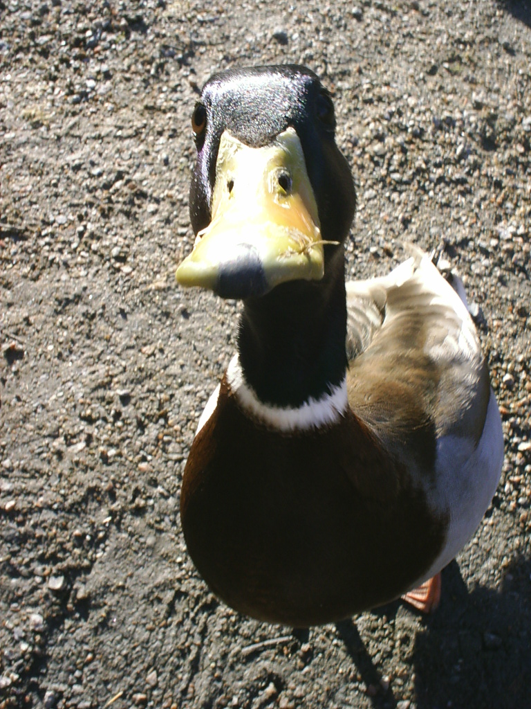 280667_9047.jpg