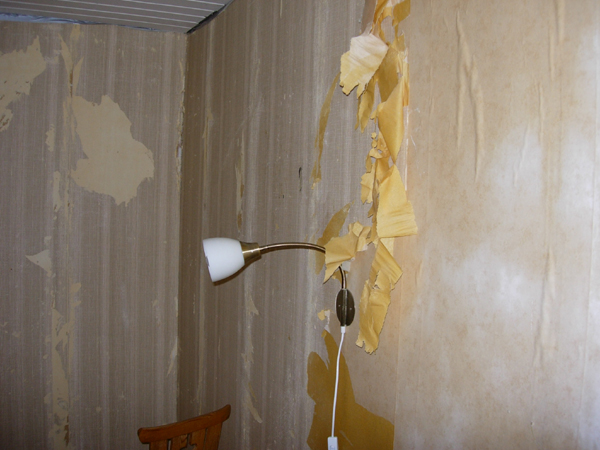 DSCN7517.jpg