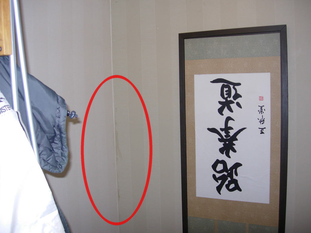 DSCN7553.jpg
