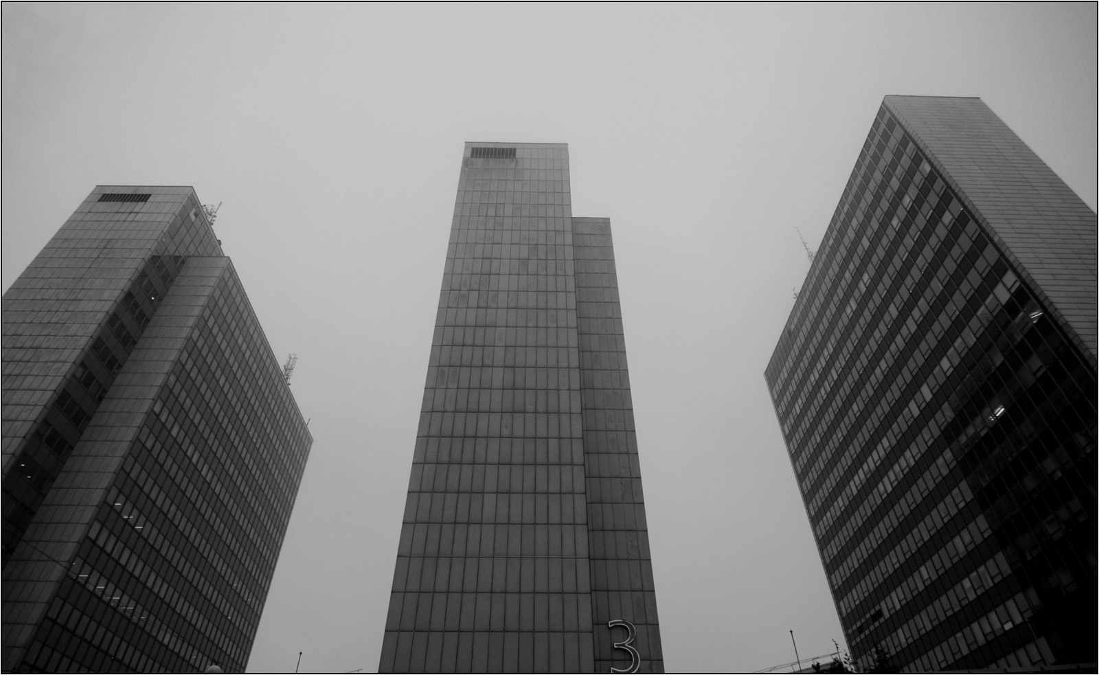 DSC_7006.jpg