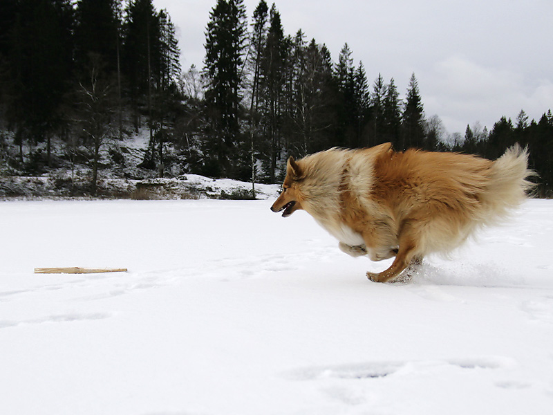 _MG_1411.jpg