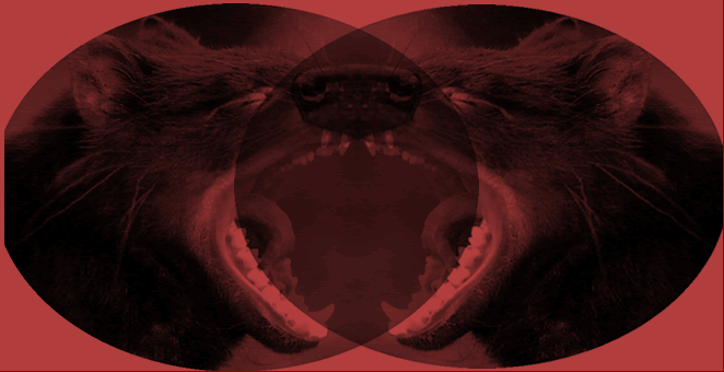 ilsk.gif