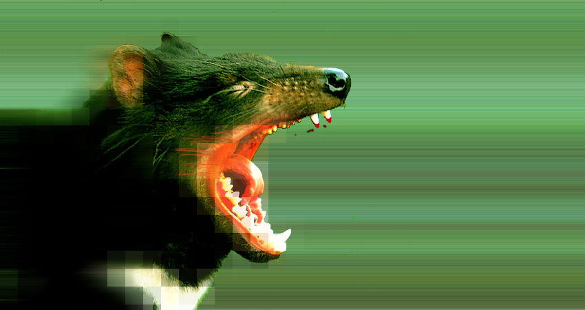 dodarrattan.jpg