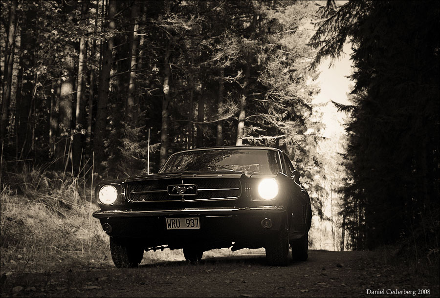 Mustang 01.jpg