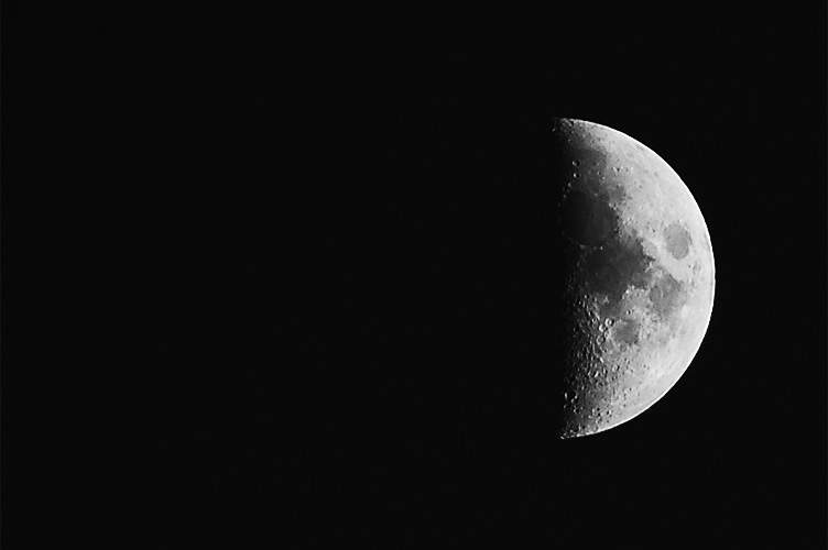 mane_sv_0089.jpg