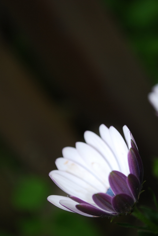 DSC_0012.JPG