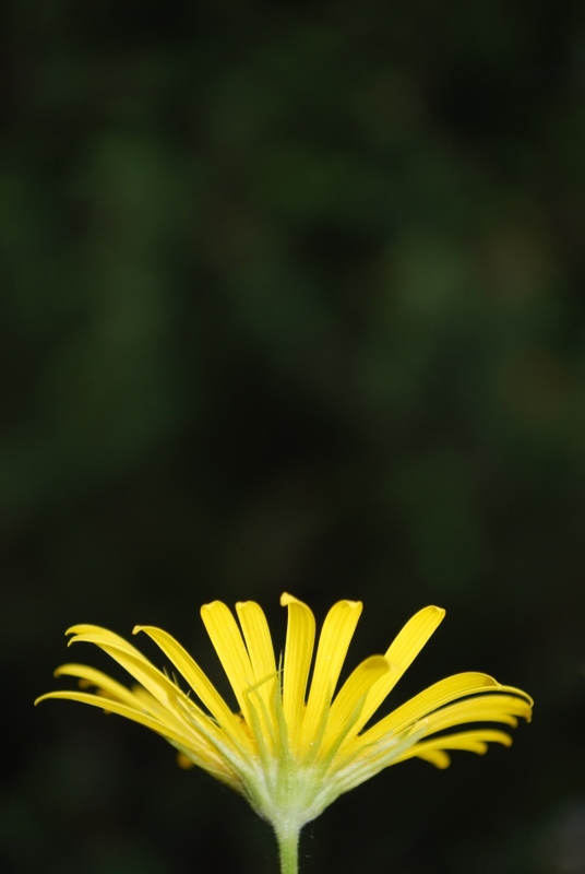 DSC_0022.JPG