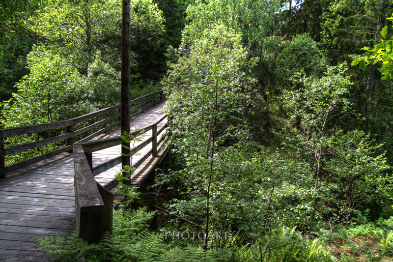 2009-06-07_14-23-51_4725.jpg
