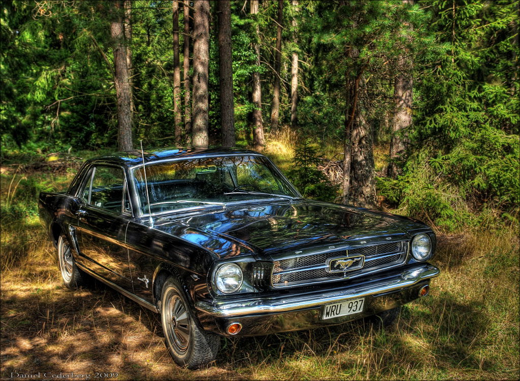 P8150276_HDR.jpg