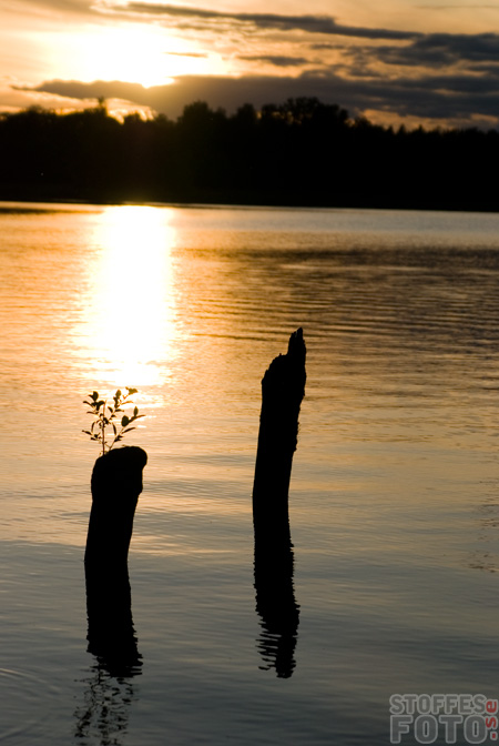 DSC_10704.jpg