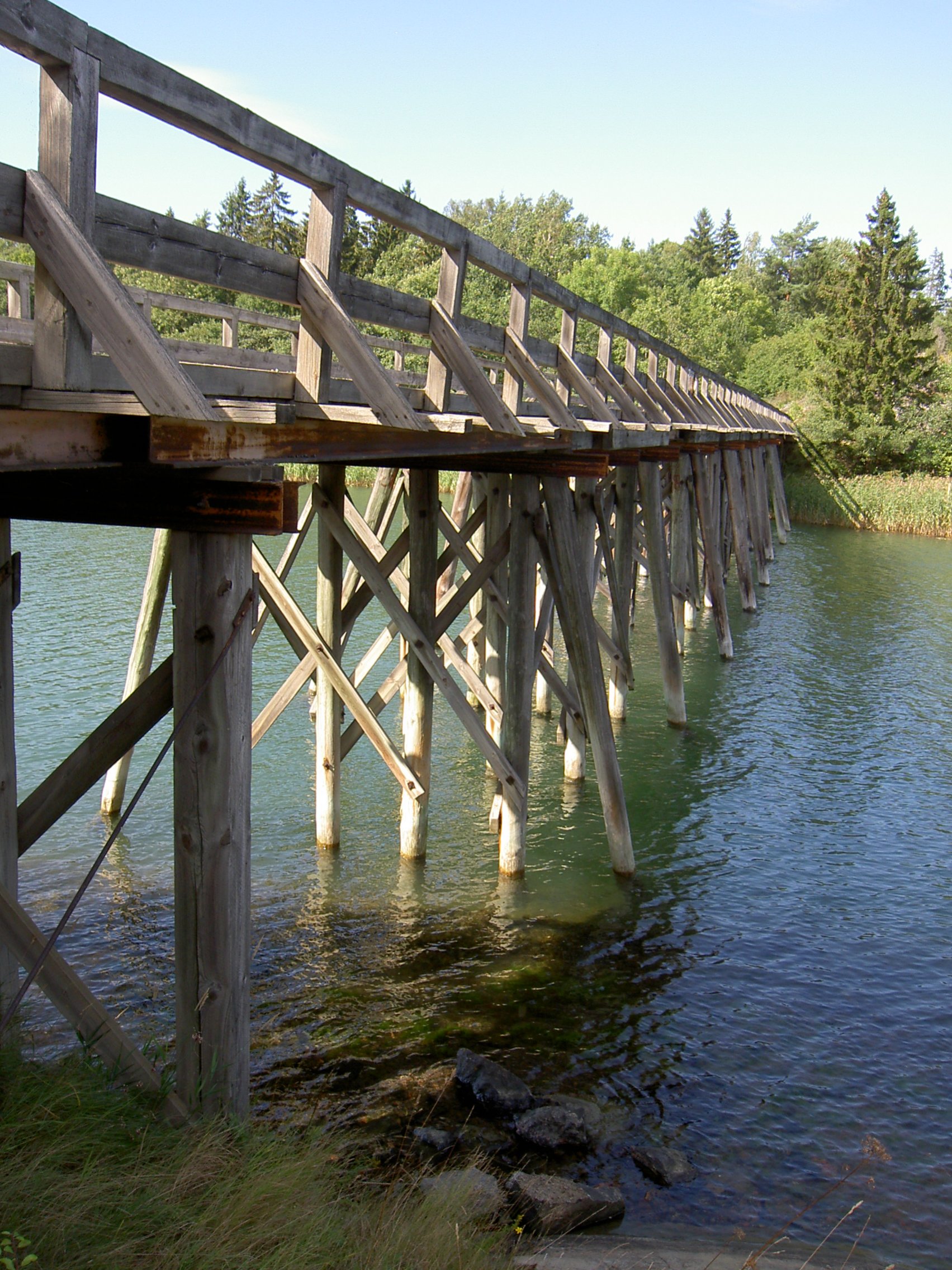 PICT6988.jpg