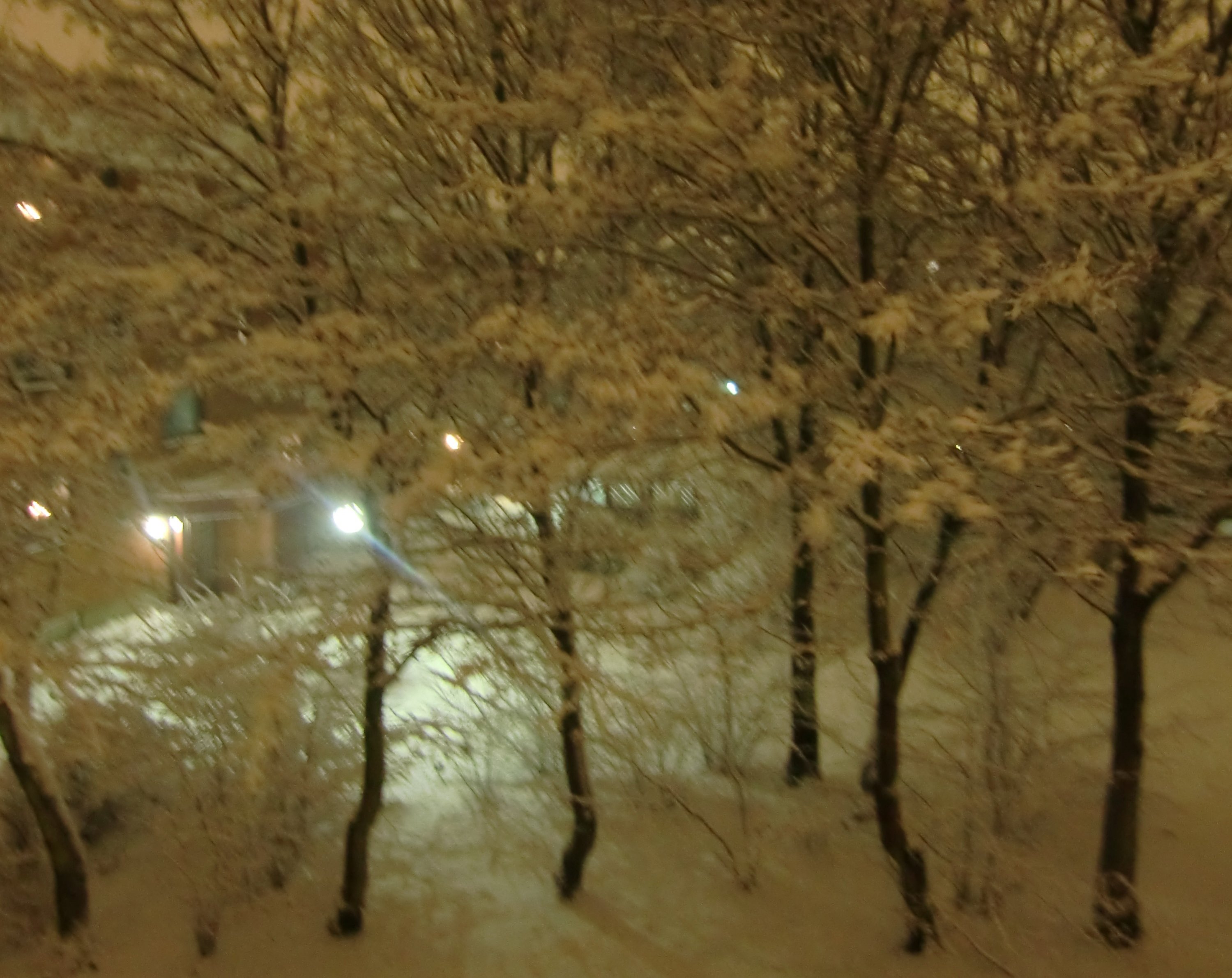 Vinter i Skåne.jpg