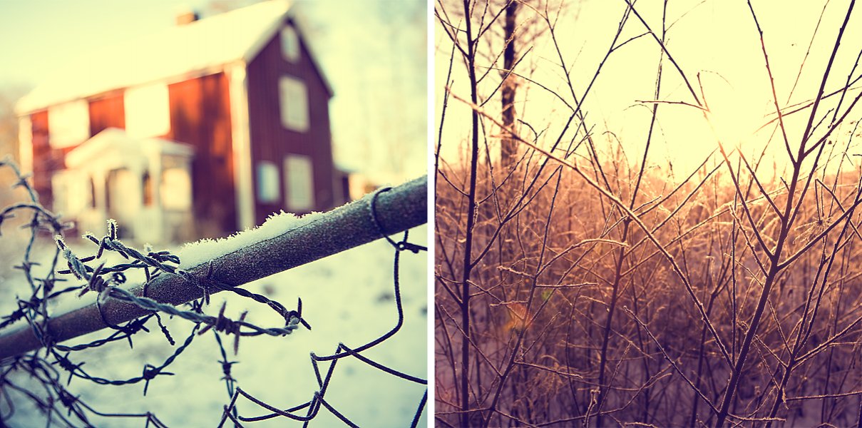 winter-diptych.jpg