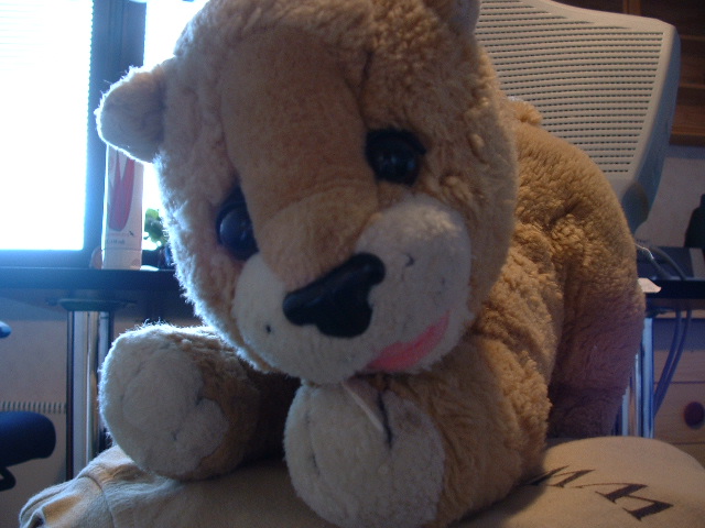 dscf0048.jpg