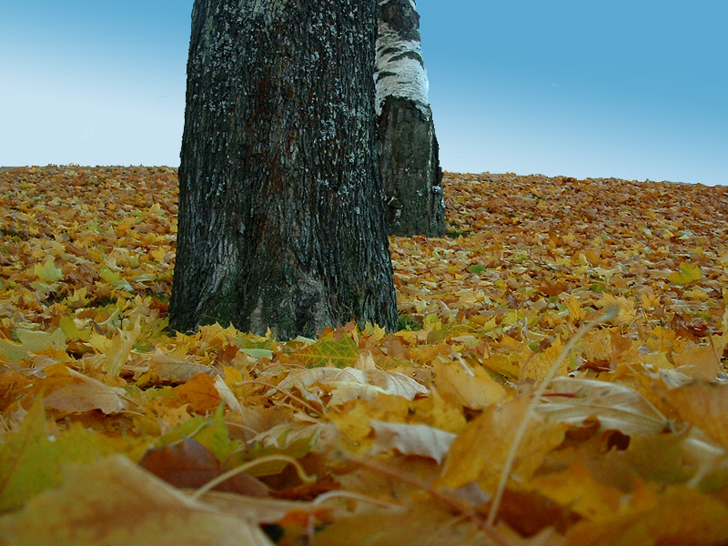 dscf0073.jpg