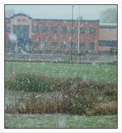 snow_031021.jpg