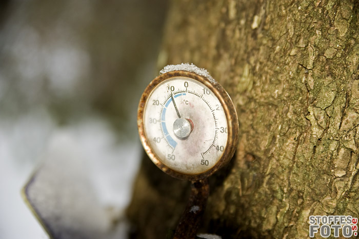DSC_3248.jpg