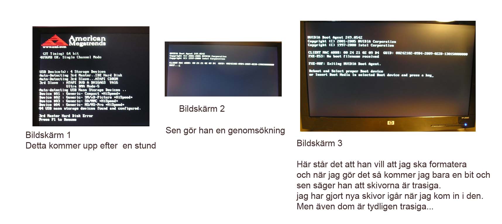 bildskärmen.jpg