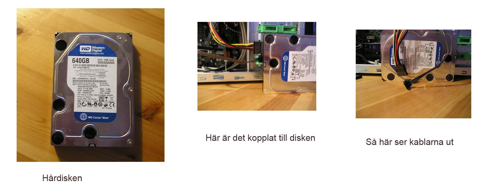 hårdisken.jpg