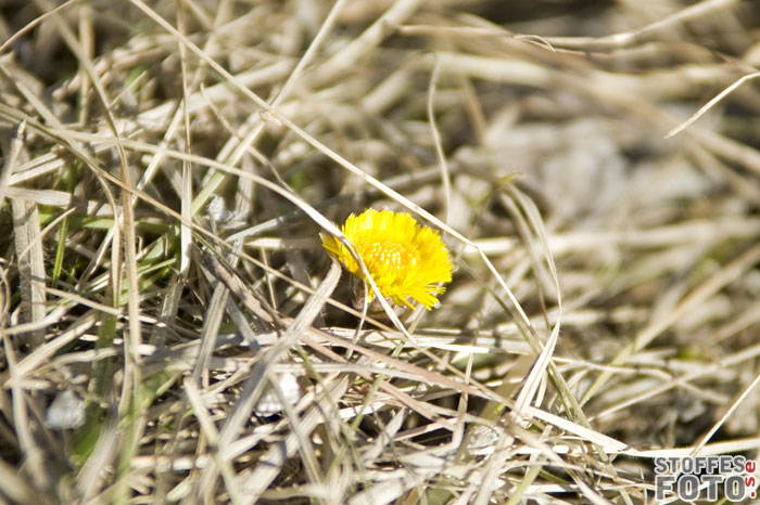 DSC_5535.jpg