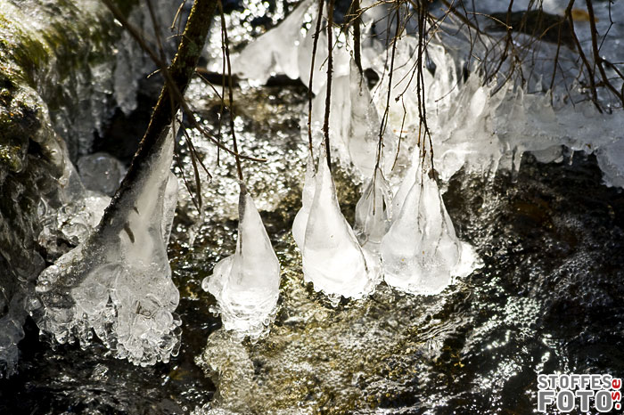 DSC_5343.jpg