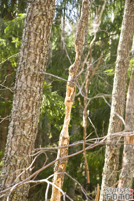 DSC_5966.jpg