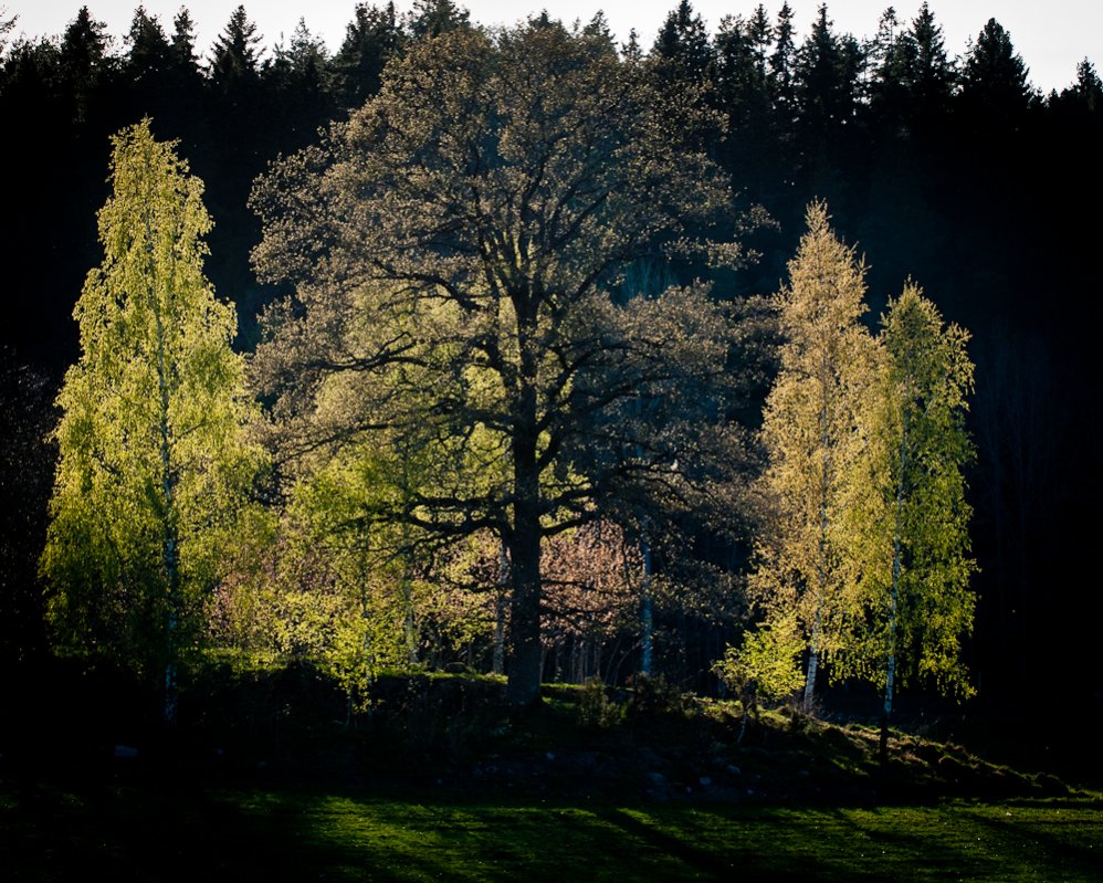 bild-4595.jpg