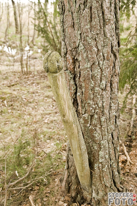 DSC_6325.jpg