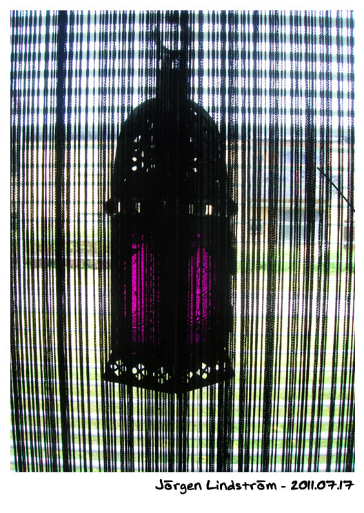 DSCN5239.jpg
