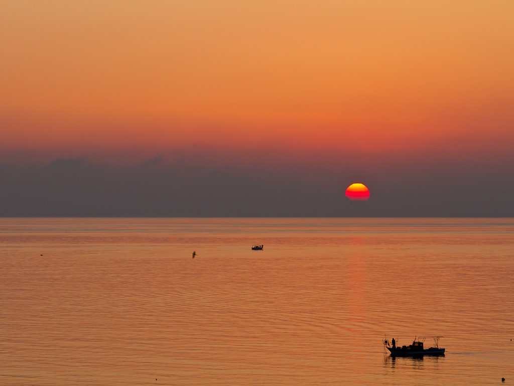 02062011-IMG_2538.jpg