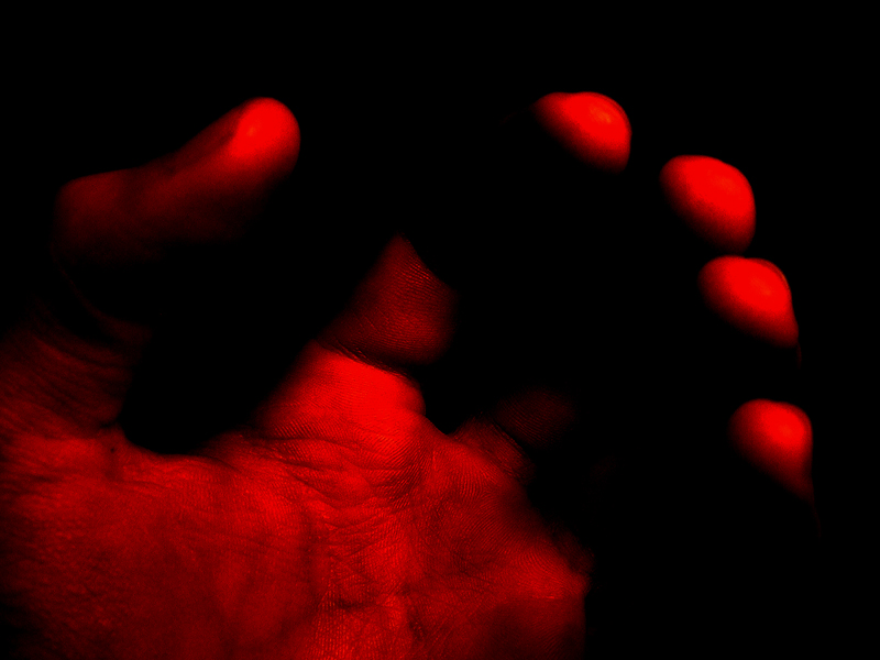 wf-4.jpg