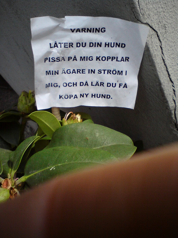 Lasp SE 025.JPG