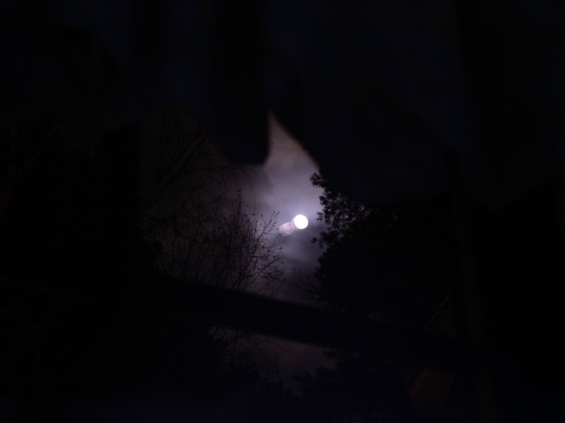 moon.jpg