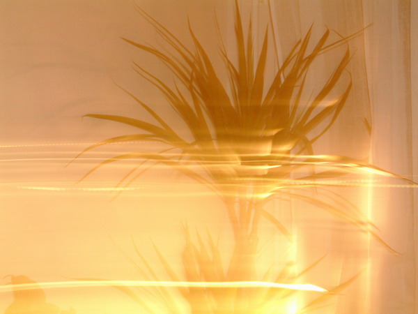 dscf0021.jpg