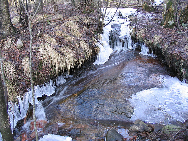 img_0525.jpg