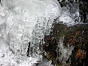dscn4188.jpg