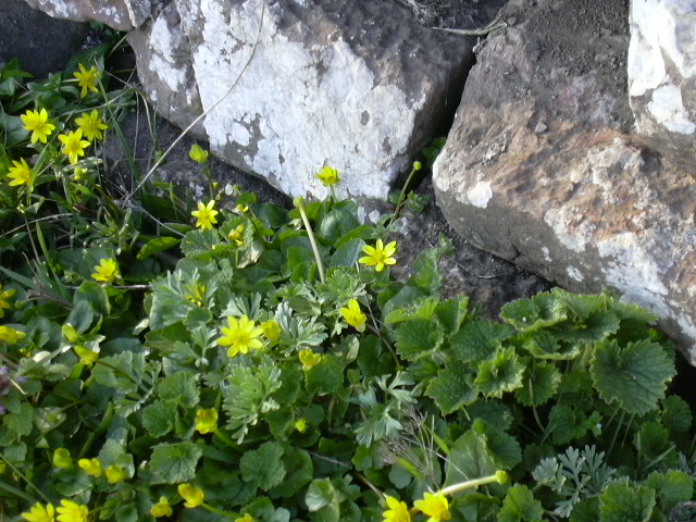 dscn0873.jpg