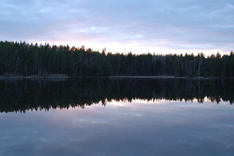 dsc_1018.jpg