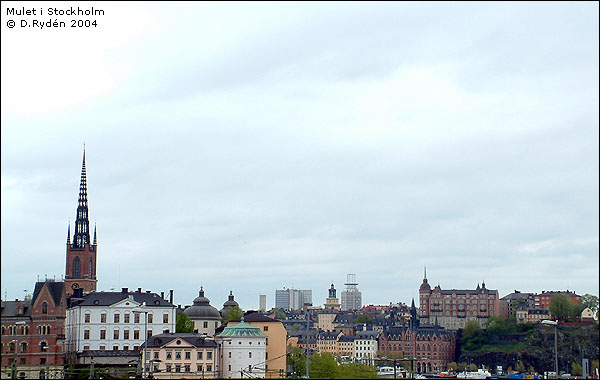 wf_stockholm.jpg