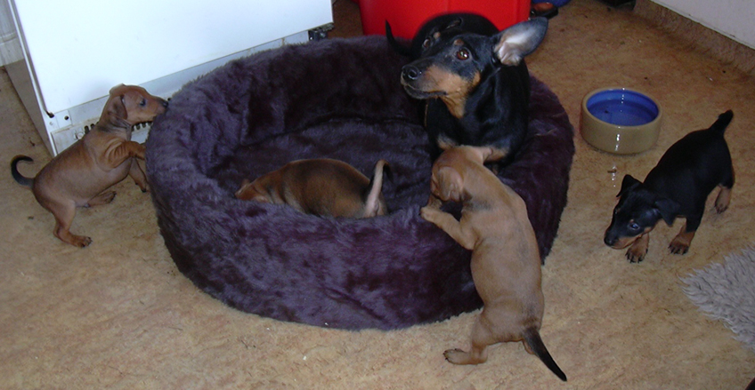 dscn0364.jpg