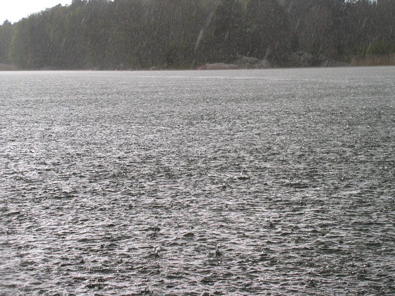 regn.jpg