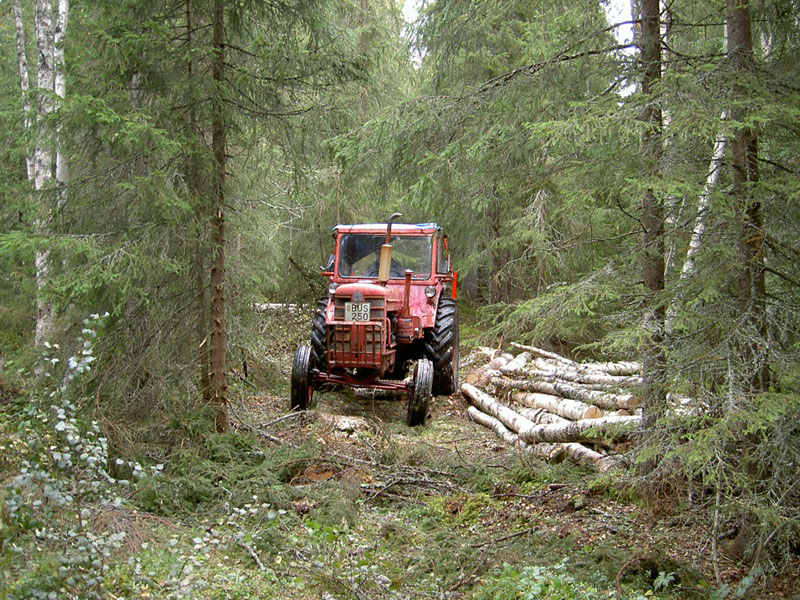 pict0087.jpg