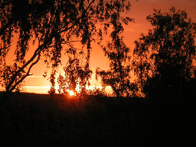 morgonsol2.jpg
