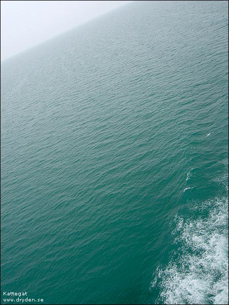 wf_kattegat.jpg
